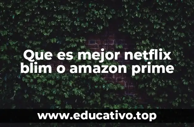 Que es mejor netflix blim o amazon prime