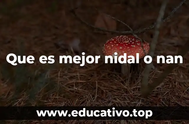 Que es mejor nidal o nan
