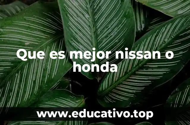 Factores clave para decidir entre Nissan y Honda