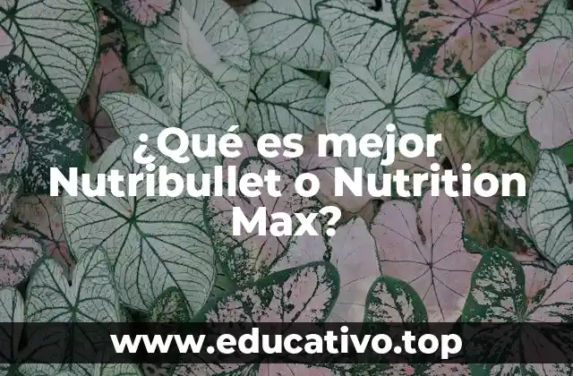 ¿Qué es mejor Nutribullet o Nutrition Max?