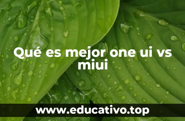 Características y diferencias clave entre One UI y MIUI