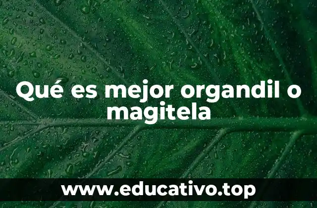 Qué es mejor organdil o magitela