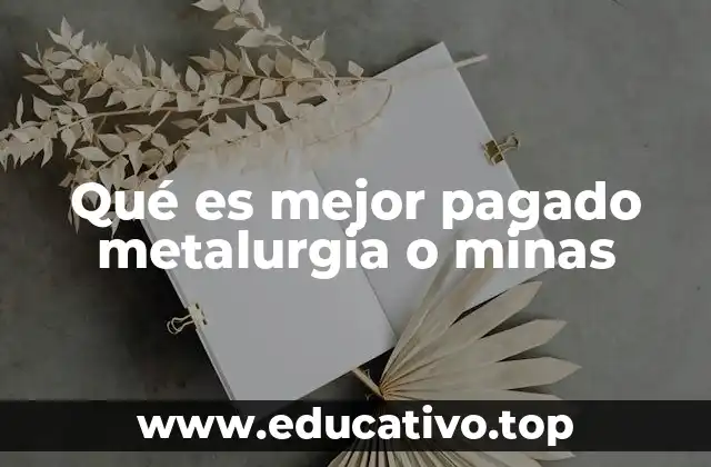 Qué es mejor pagado metalurgia o minas