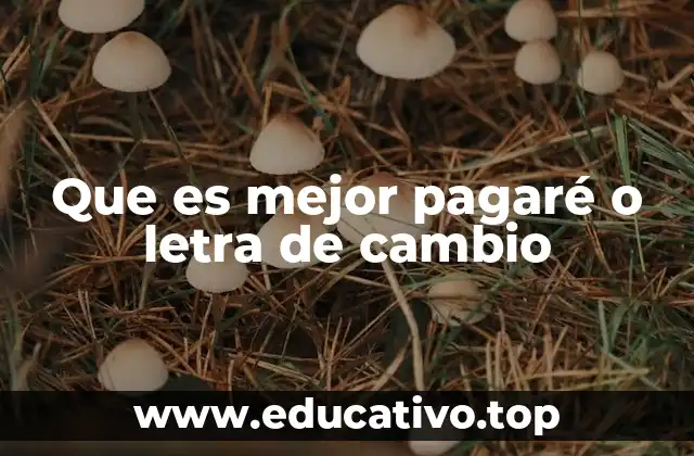 Que es mejor pagaré o letra de cambio