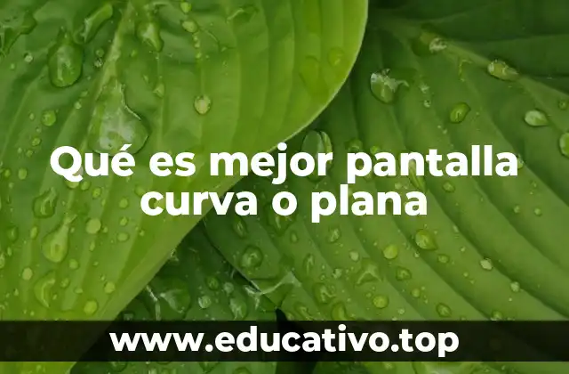 Ventajas y desventajas de las pantallas curvas