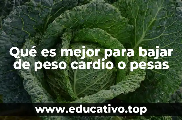 Qué es mejor para bajar de peso cardio o pesas