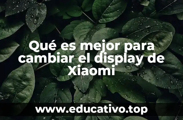 Qué es mejor para cambiar el display de Xiaomi