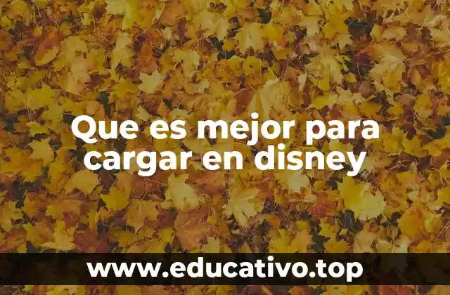 Que es mejor para cargar en disney