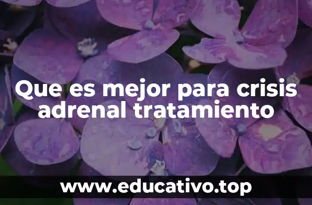 Que es mejor para crisis adrenal tratamiento