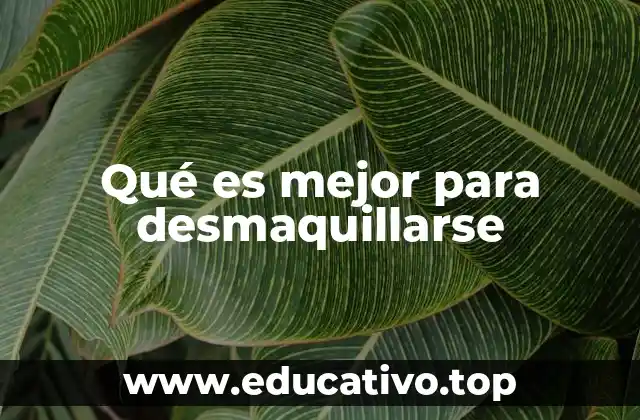 Qué es mejor para desmaquillarse