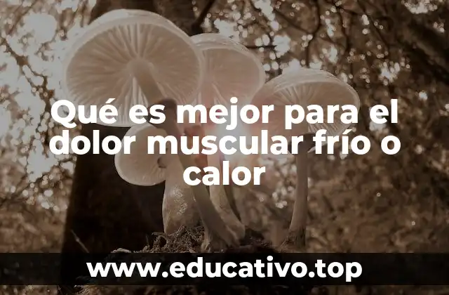 Qué es mejor para el dolor muscular frío o calor