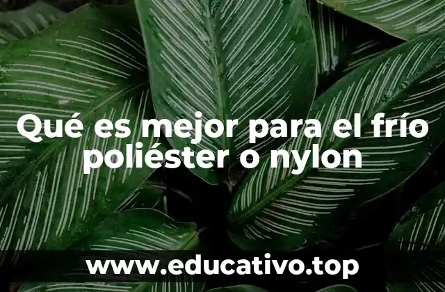 Qué es mejor para el frío poliéster o nylon