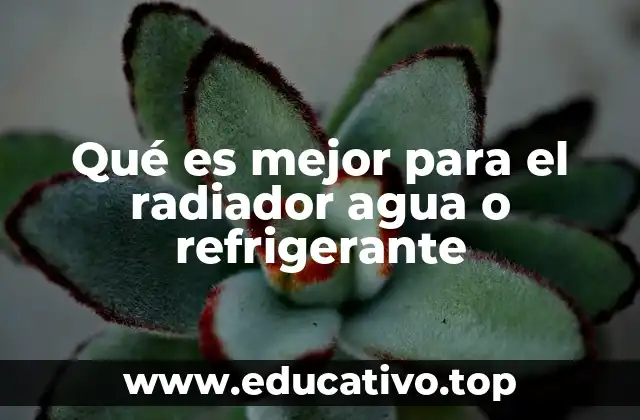 Qué es mejor para el radiador agua o refrigerante