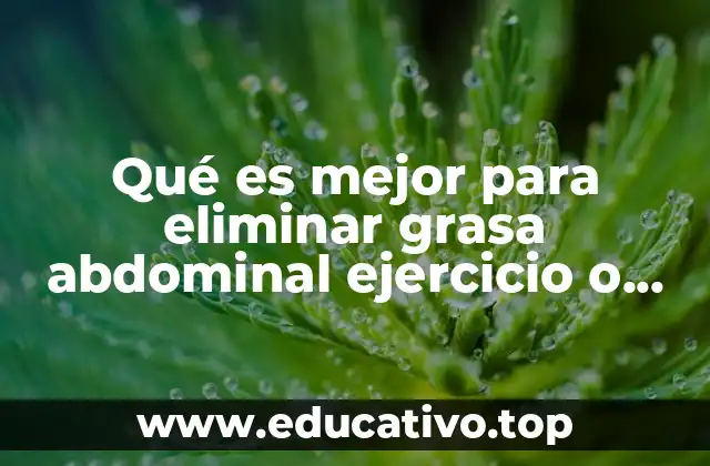Qué es mejor para eliminar grasa abdominal ejercicio o dieta