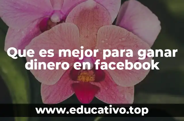 Que es mejor para ganar dinero en facebook