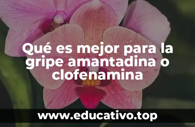 Qué es mejor para la gripe amantadina o clofenamina
