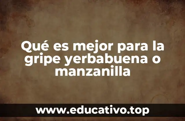 Qué es mejor para la gripe yerbabuena o manzanilla