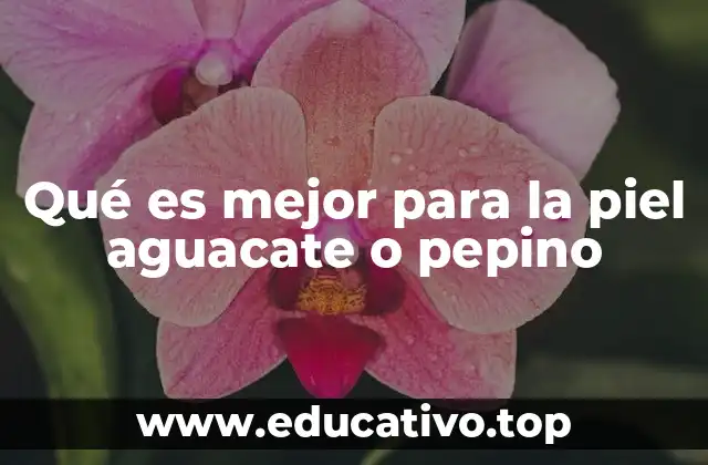 Qué es mejor para la piel aguacate o pepino