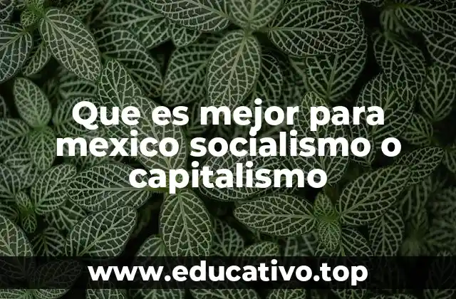 Que es mejor para mexico socialismo o capitalismo