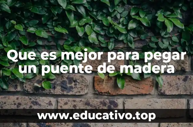 Que es mejor para pegar un puente de madera