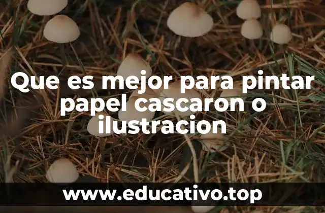 Que es mejor para pintar papel cascaron o ilustracion