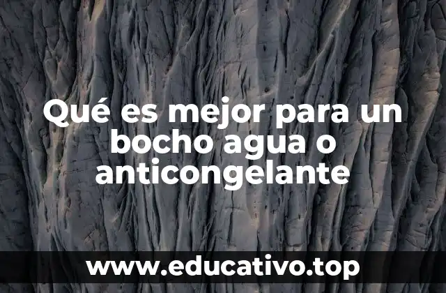 Qué es mejor para un bocho agua o anticongelante