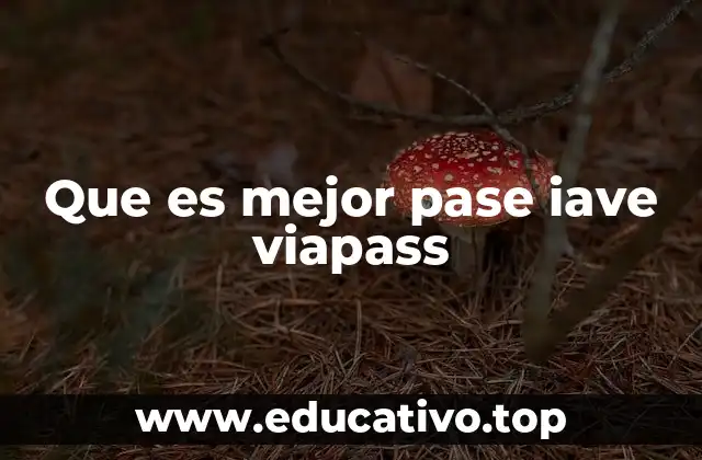 Que es mejor pase iave viapass