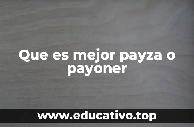 Que es mejor payza o payoner