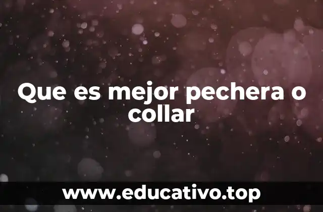 Cómo elegir entre una pechera y un collar según el tamaño del perro