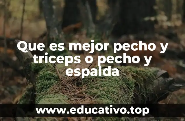 Que es mejor pecho y triceps o pecho y espalda