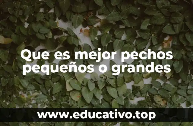 Que es mejor pechos pequeños o grandes