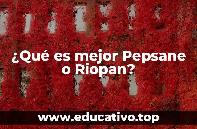 ¿Qué es mejor Pepsane o Riopan?