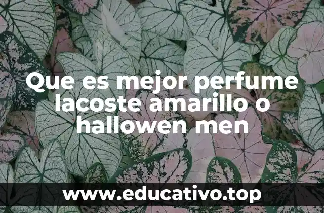 Que es mejor perfume lacoste amarillo o hallowen men