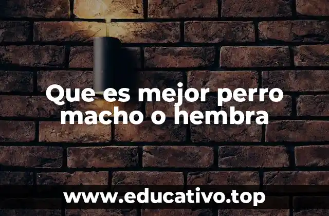 Que es mejor perro macho o hembra