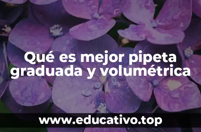 Qué es mejor pipeta graduada y volumétrica