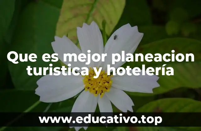 Que es mejor planeacion turistica y hotelería