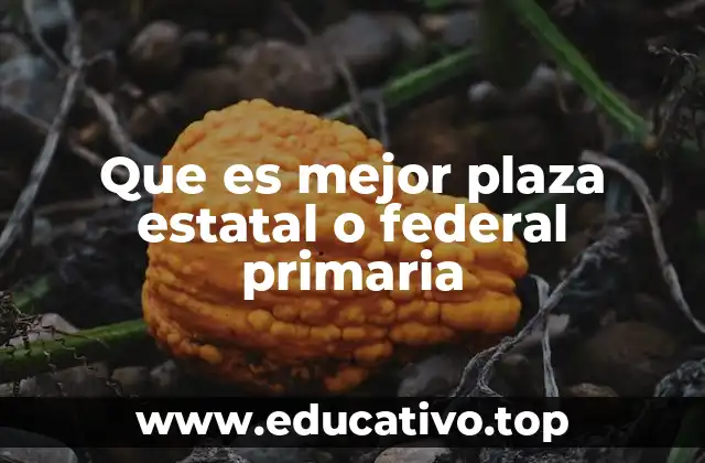 Que es mejor plaza estatal o federal primaria
