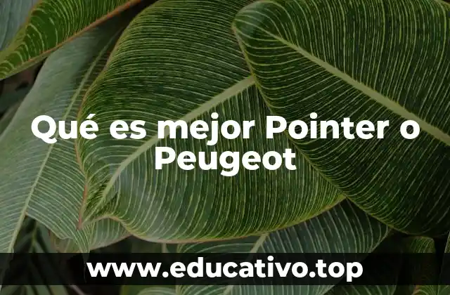 Qué es mejor Pointer o Peugeot