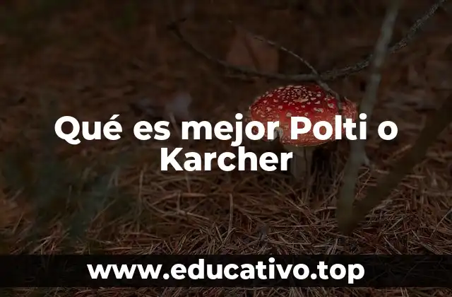 Qué es mejor Polti o Karcher