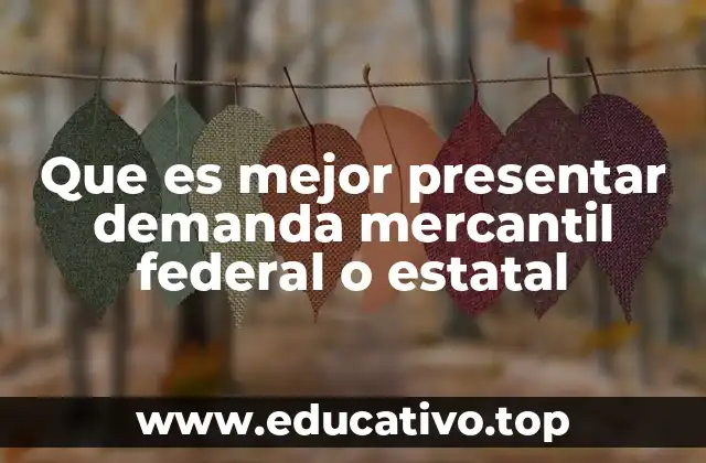 Que es mejor presentar demanda mercantil federal o estatal