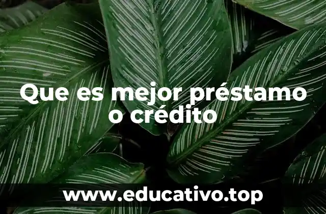 Que es mejor préstamo o crédito