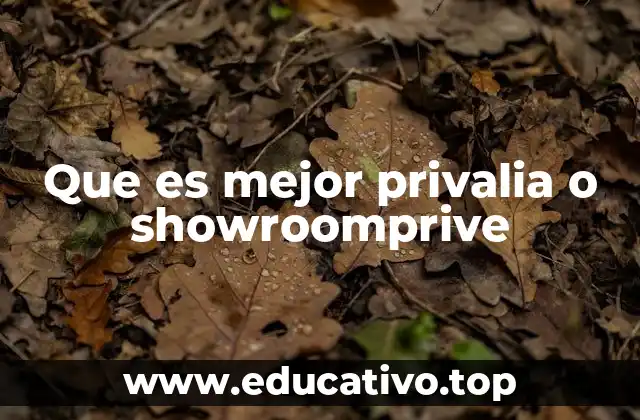 Que es mejor privalia o showroomprive