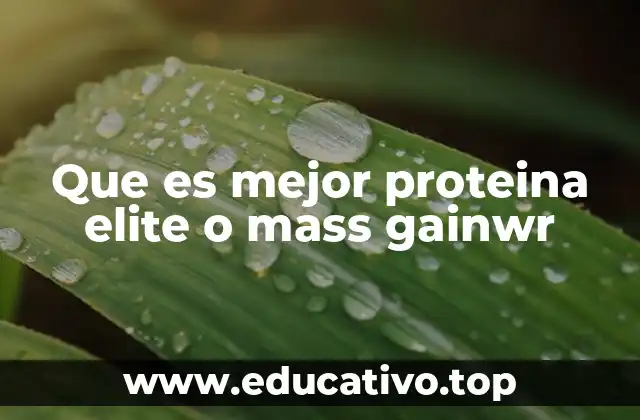Que es mejor proteina elite o mass gainwr