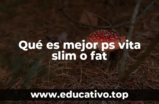 Qué es mejor ps vita slim o fat