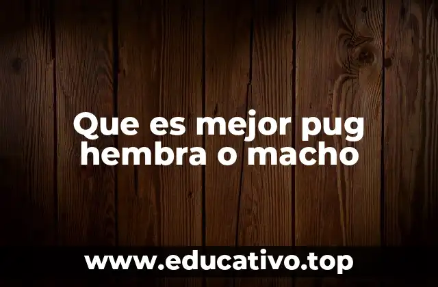 Características que diferencian a los pugs machos y hembras