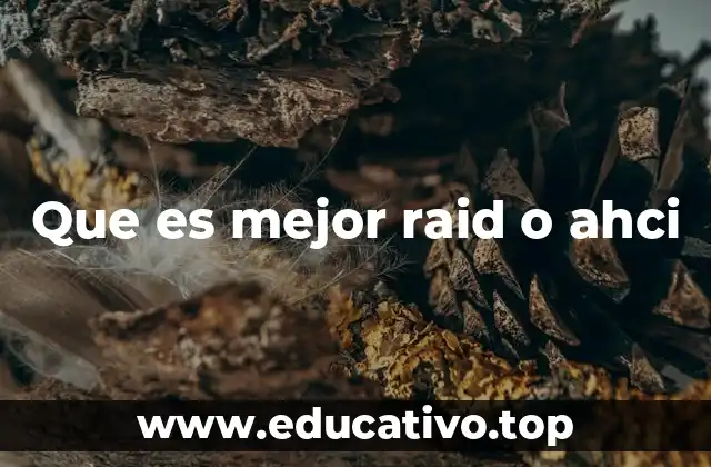 Que es mejor raid o ahci