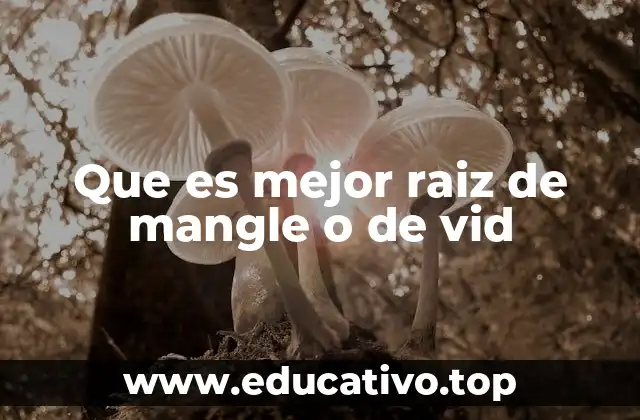 Que es mejor raiz de mangle o de vid