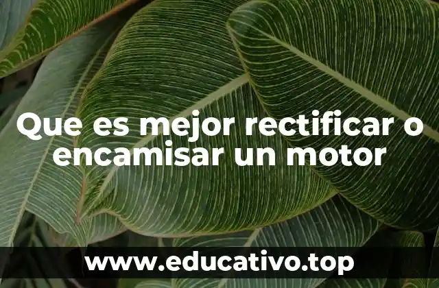 Que es mejor rectificar o encamisar un motor