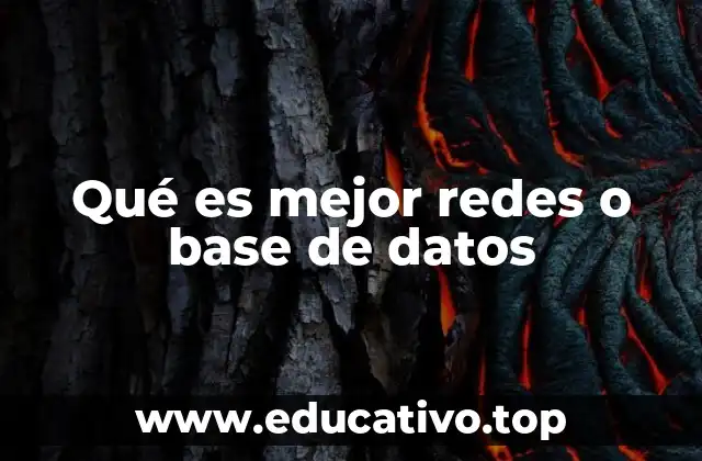 Redes y bases de datos: dos pilares tecnológicos esenciales