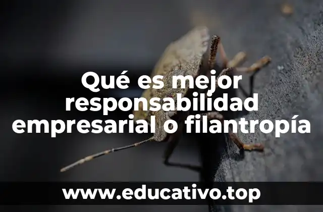 Qué es mejor responsabilidad empresarial o filantropía
